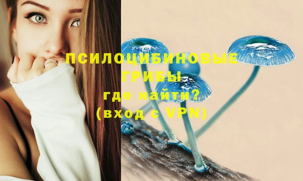 spice Алзамай