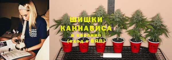 spice Алзамай