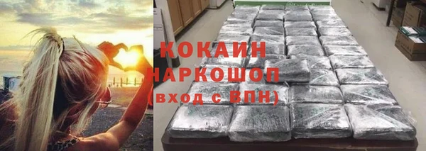 spice Алзамай