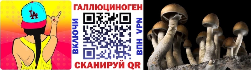 Галлюциногенные грибы MAGIC MUSHROOMS  Северская 