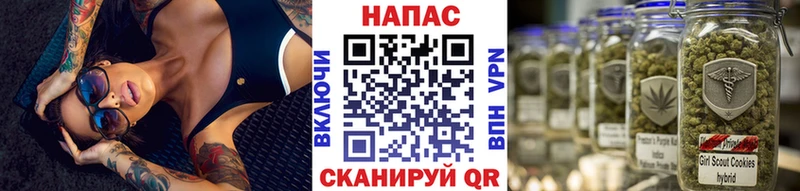 Шишки марихуана ГИДРОПОН  сколько стоит  Северская 